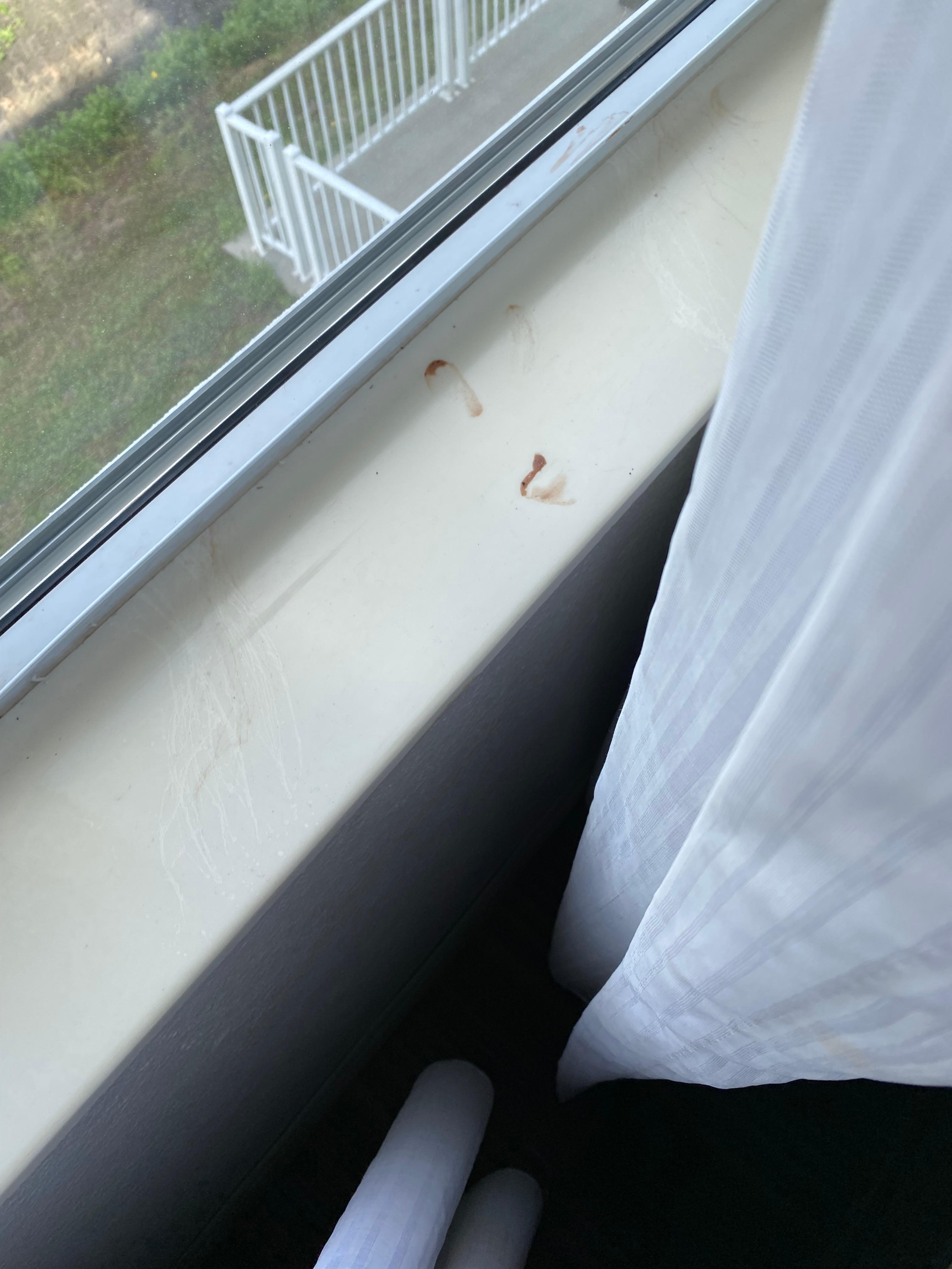 Windowsill with chocolate 