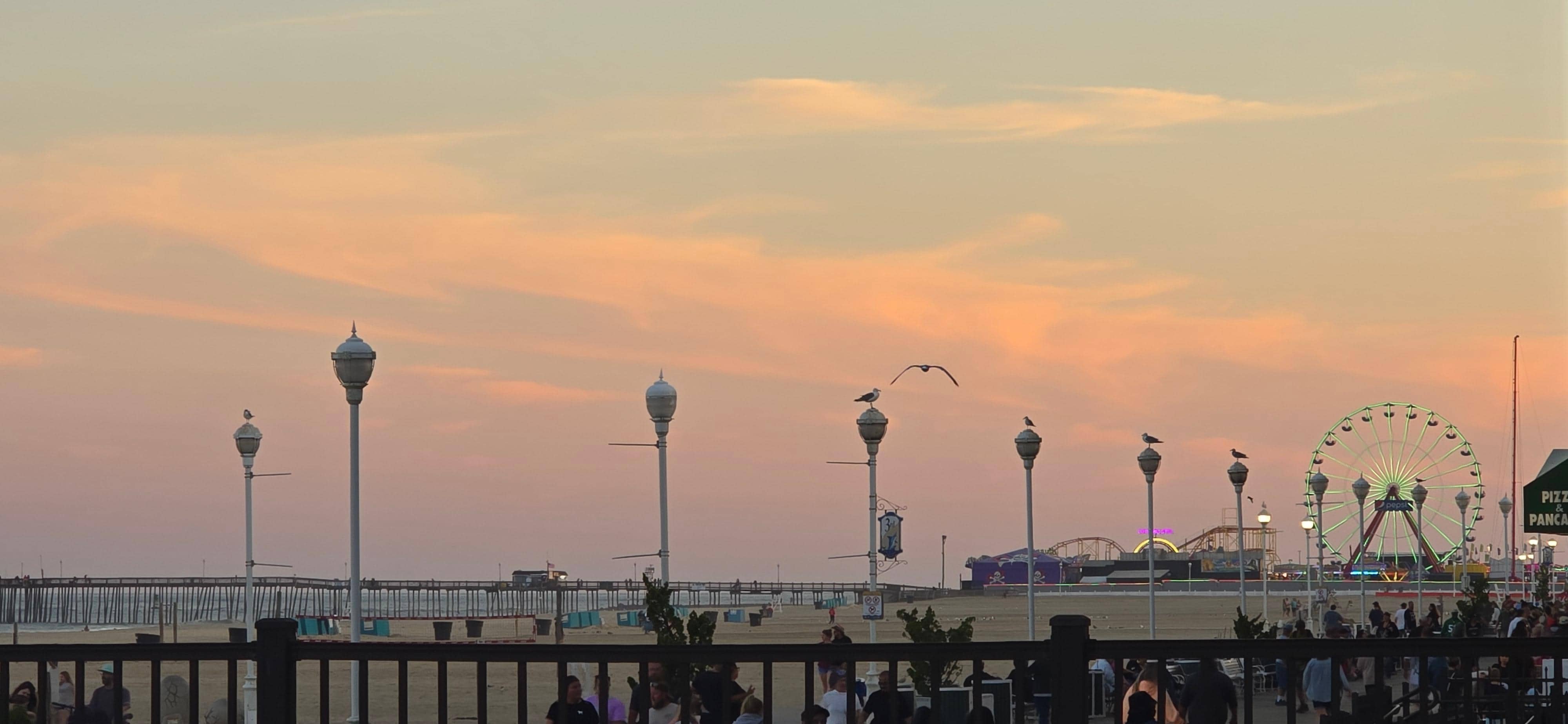 Just hanging out on the deck. 