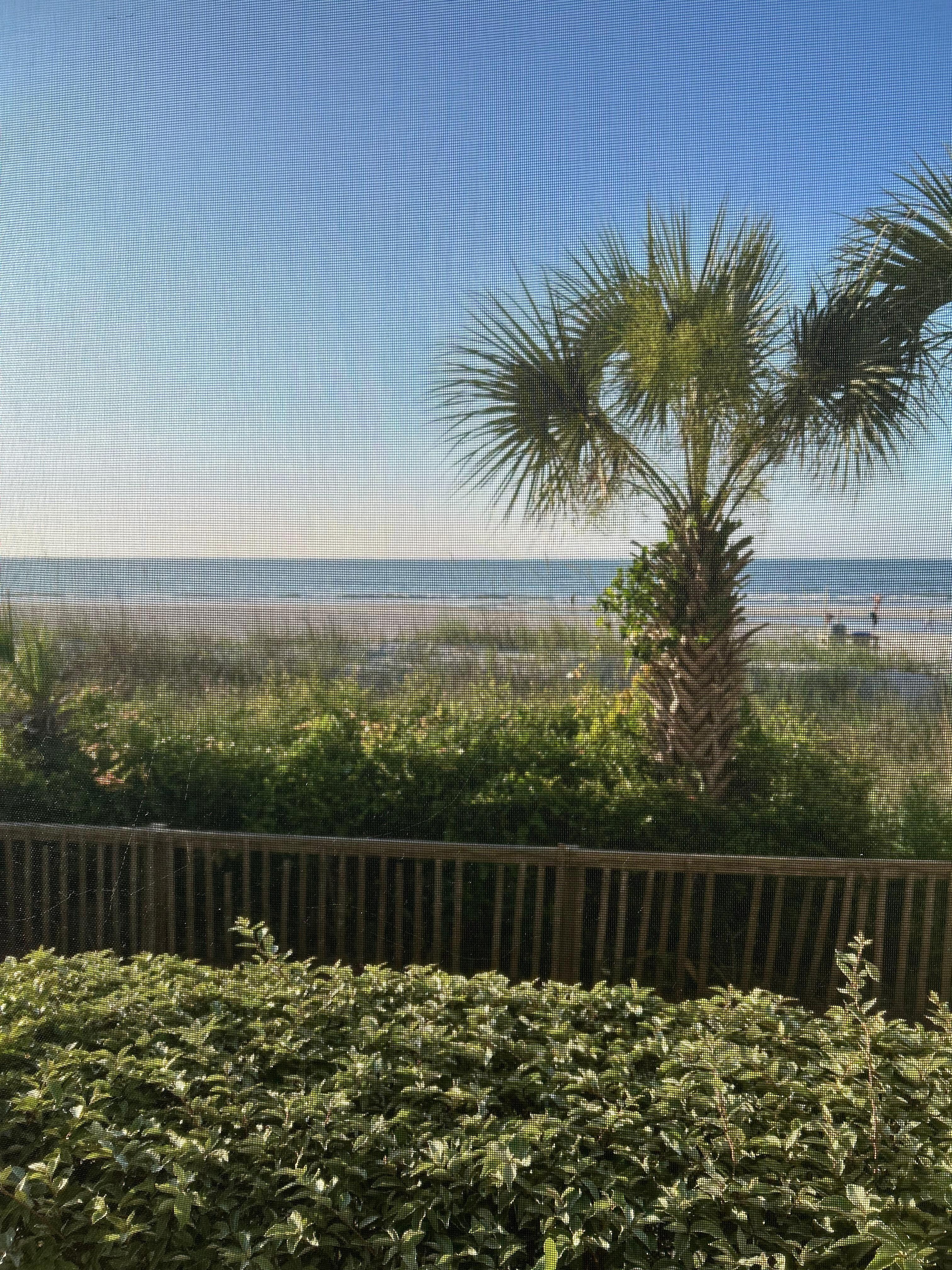 View from the screened in porch. Beautiful place to have your morning coffee. 