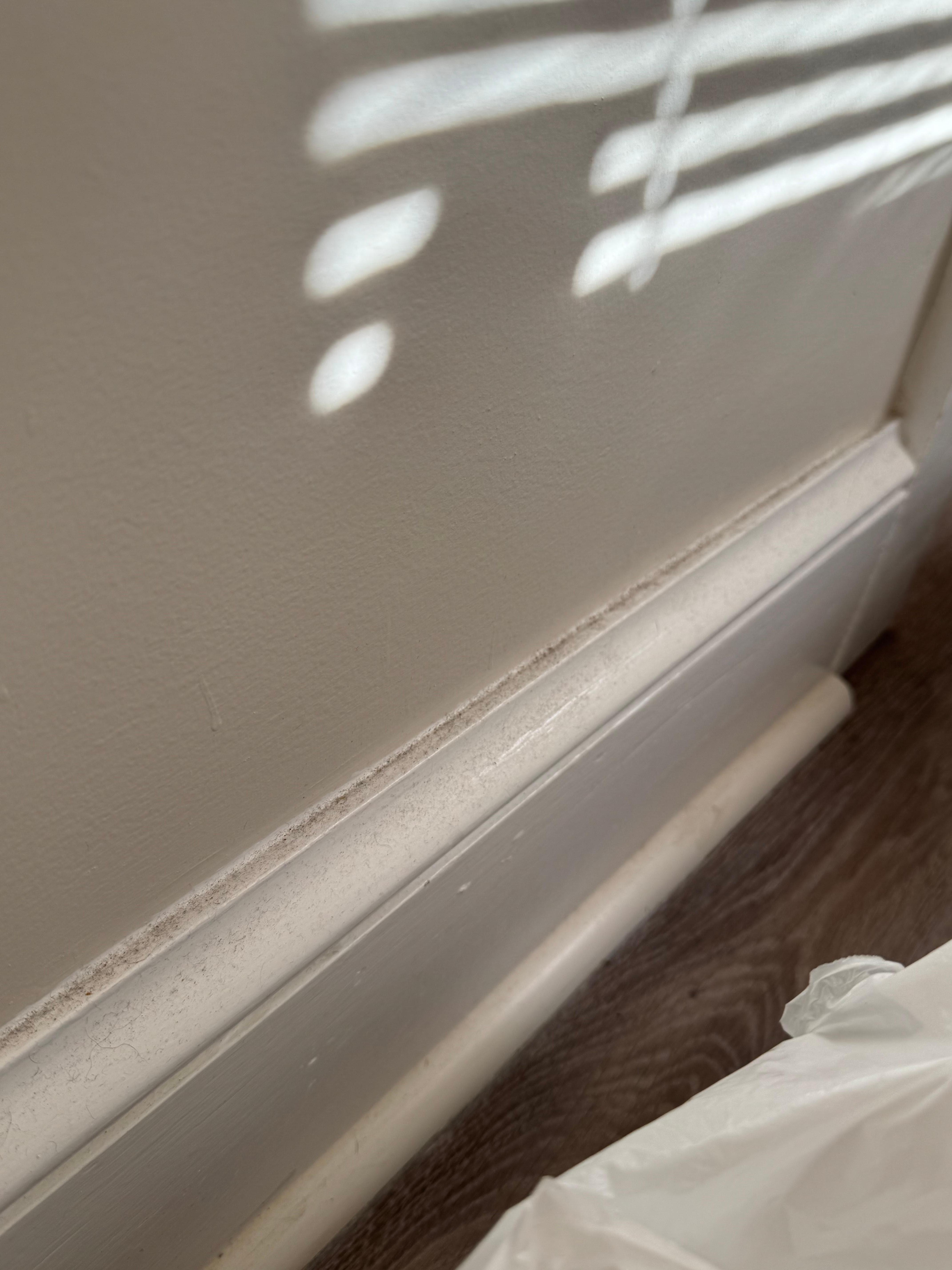 Dust caked on moldings 