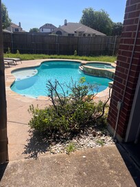 Backyard weeds