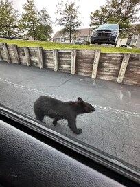 Greeted us upon arrival