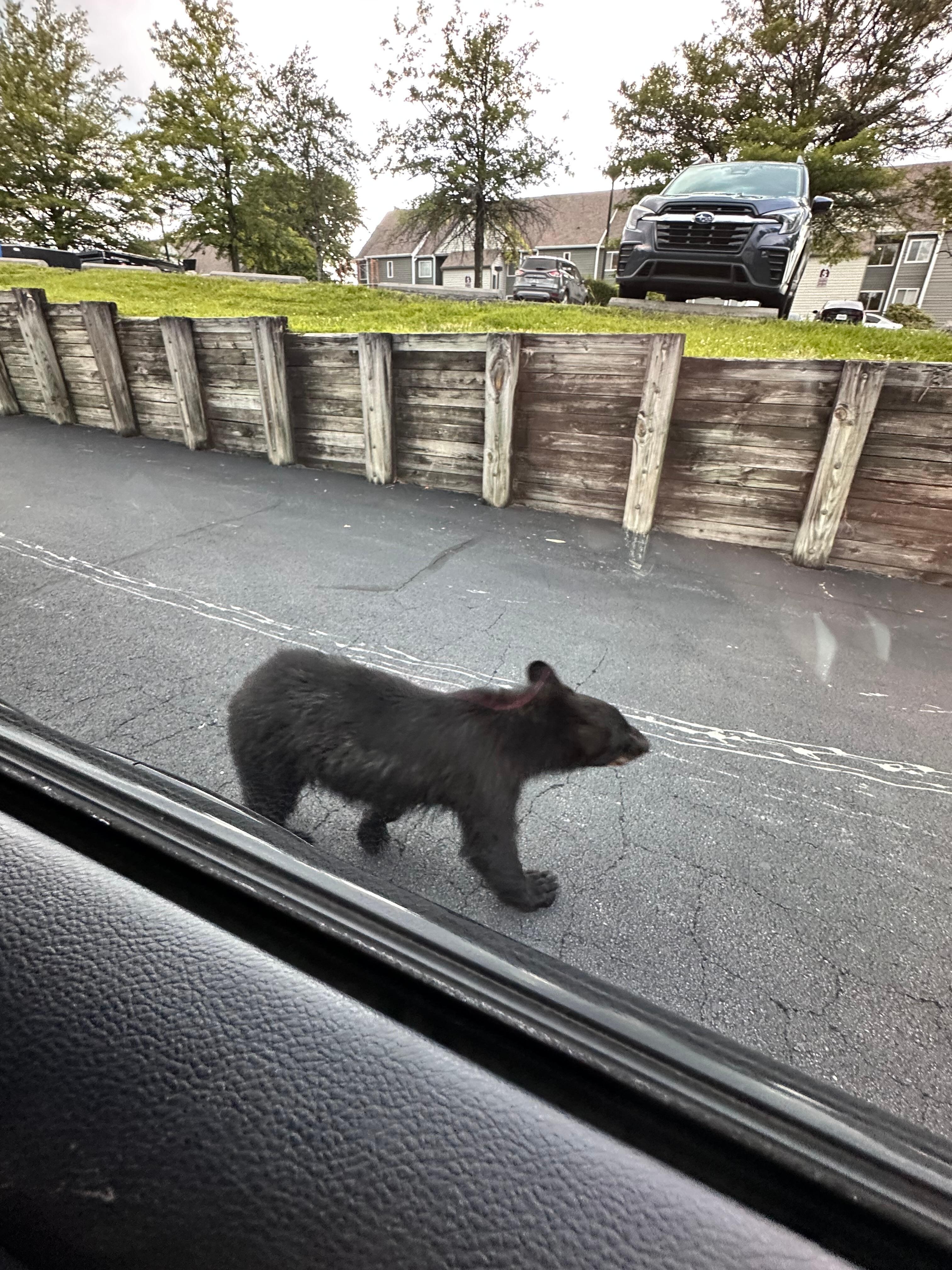 Greeted us upon arrival