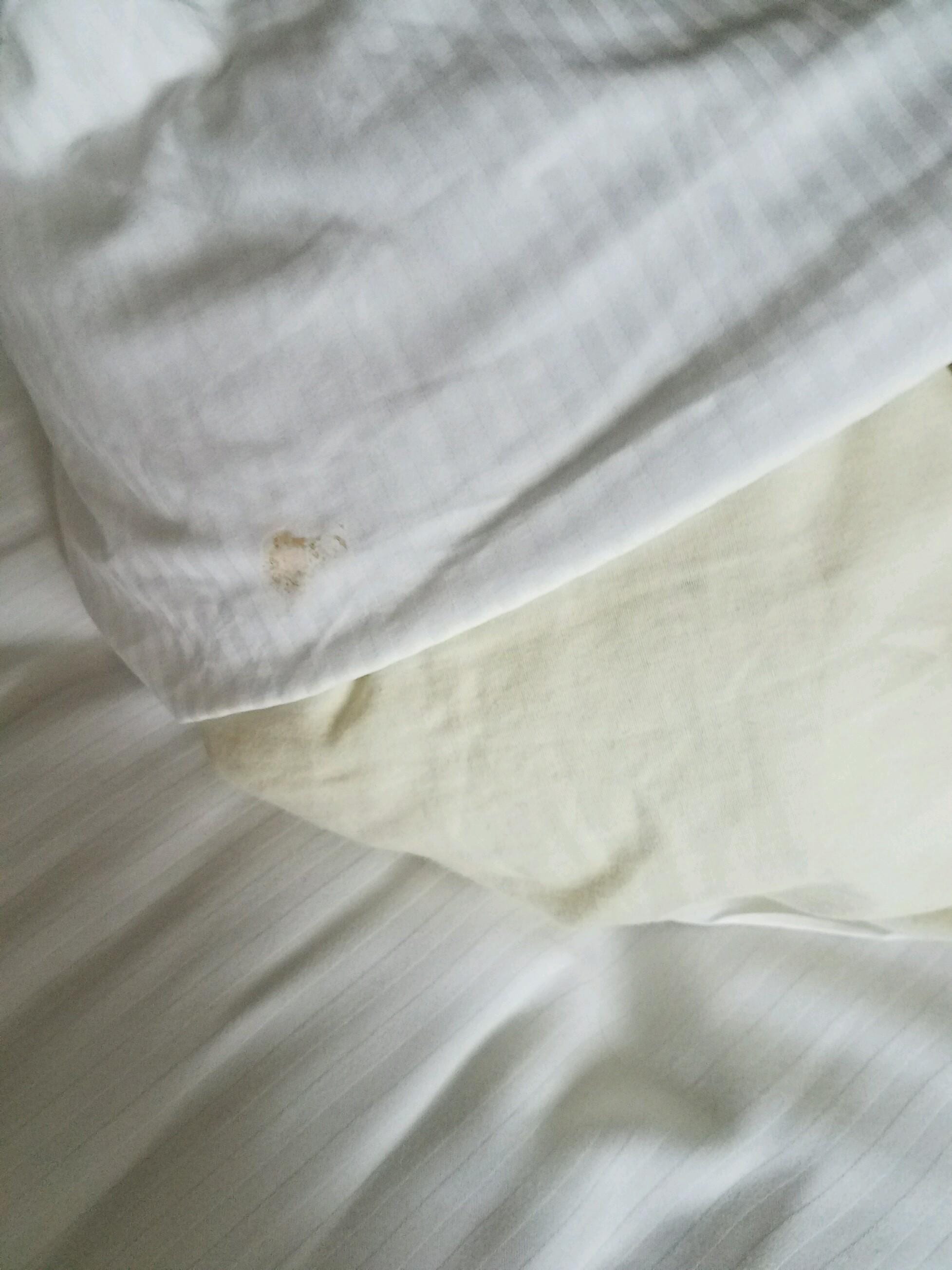Spot on the pillow