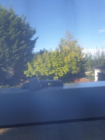 Broken window catch on ground floor