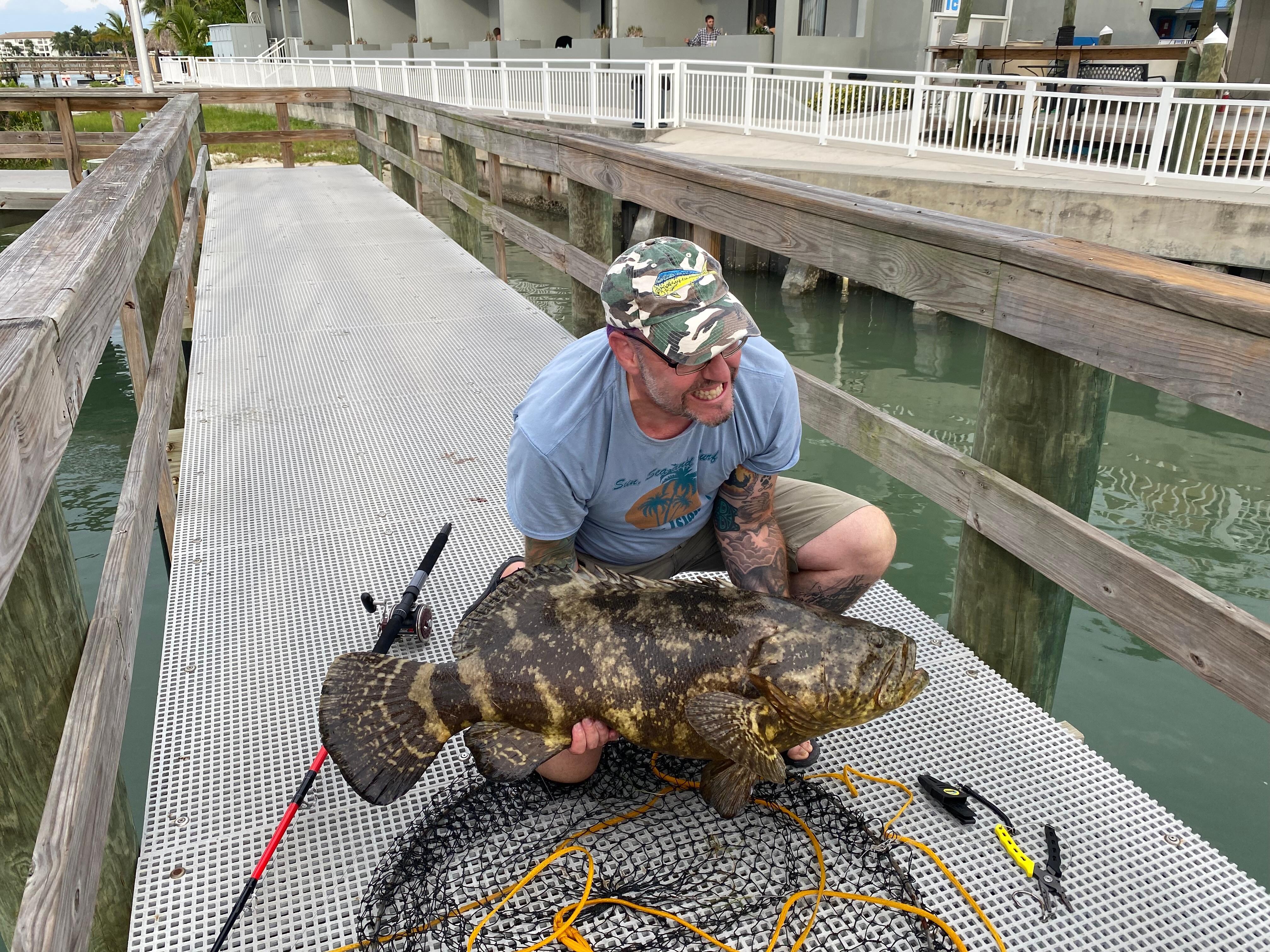 Goliath Grouper caught right on dock 