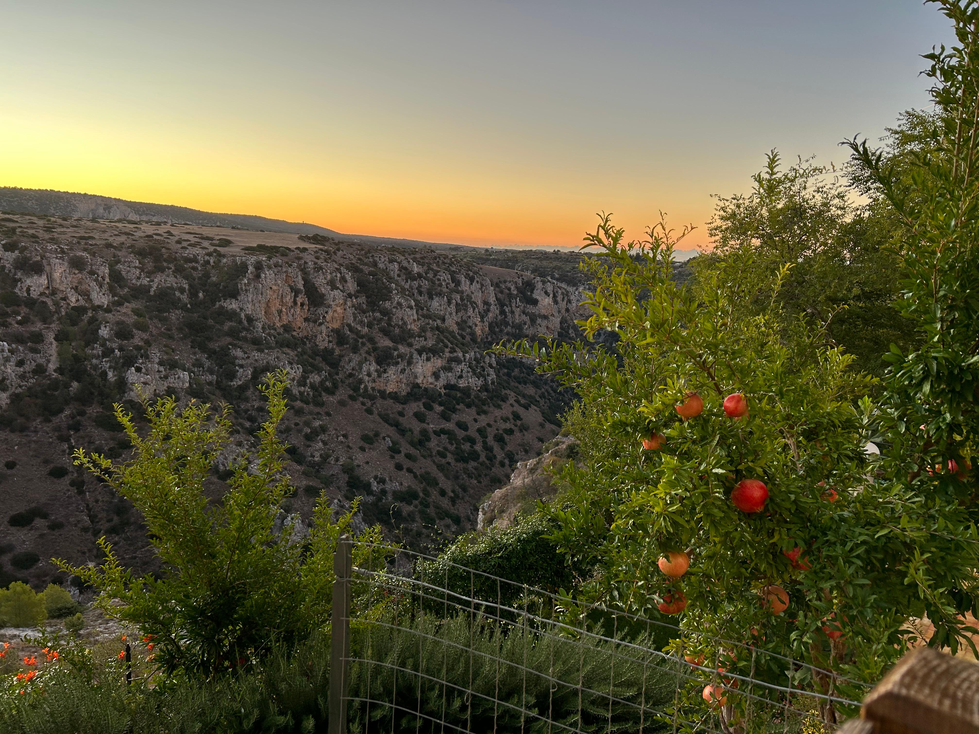 Sunrise view from room