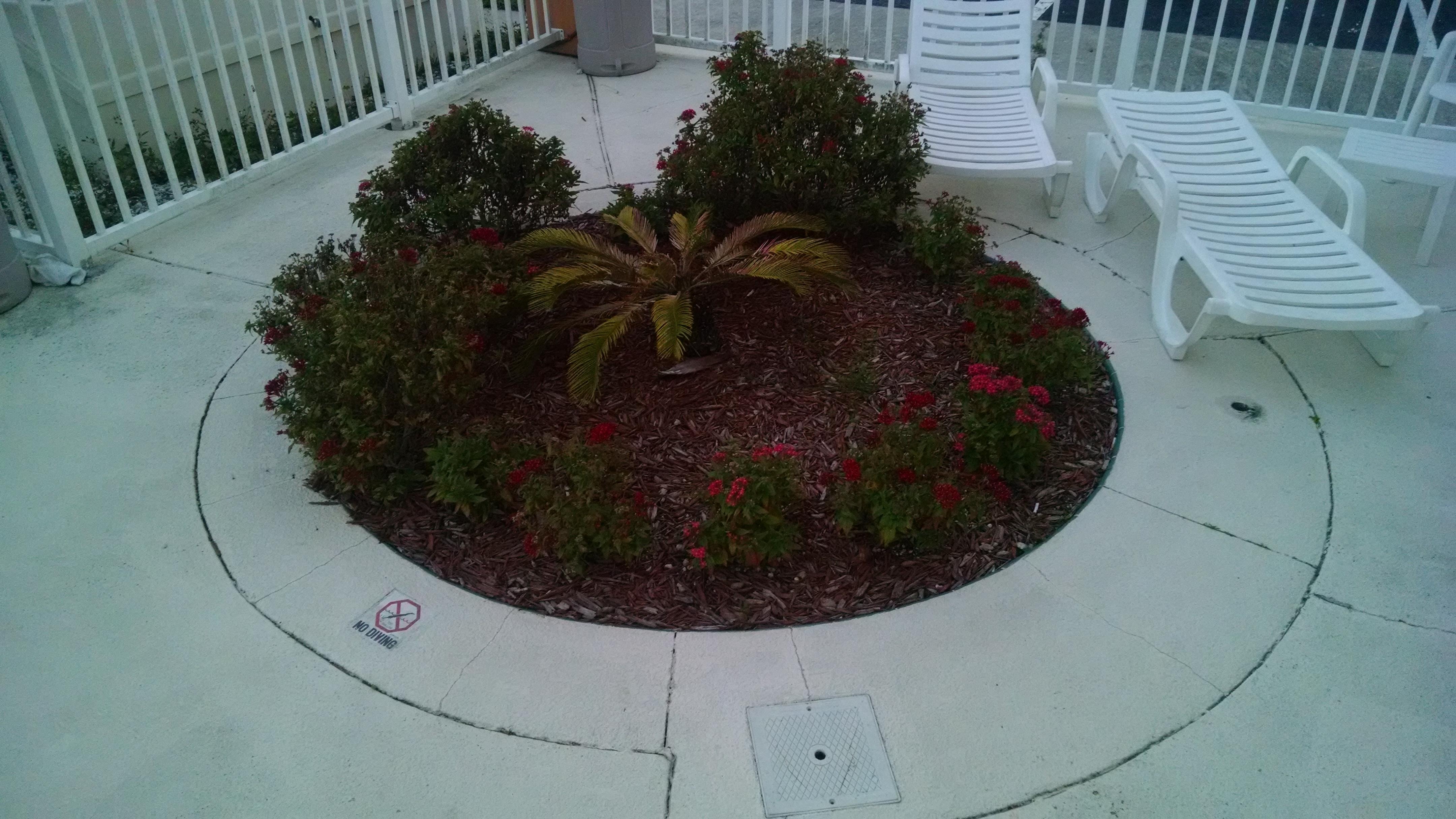 Hottub with plants in it. Nice not!!!!