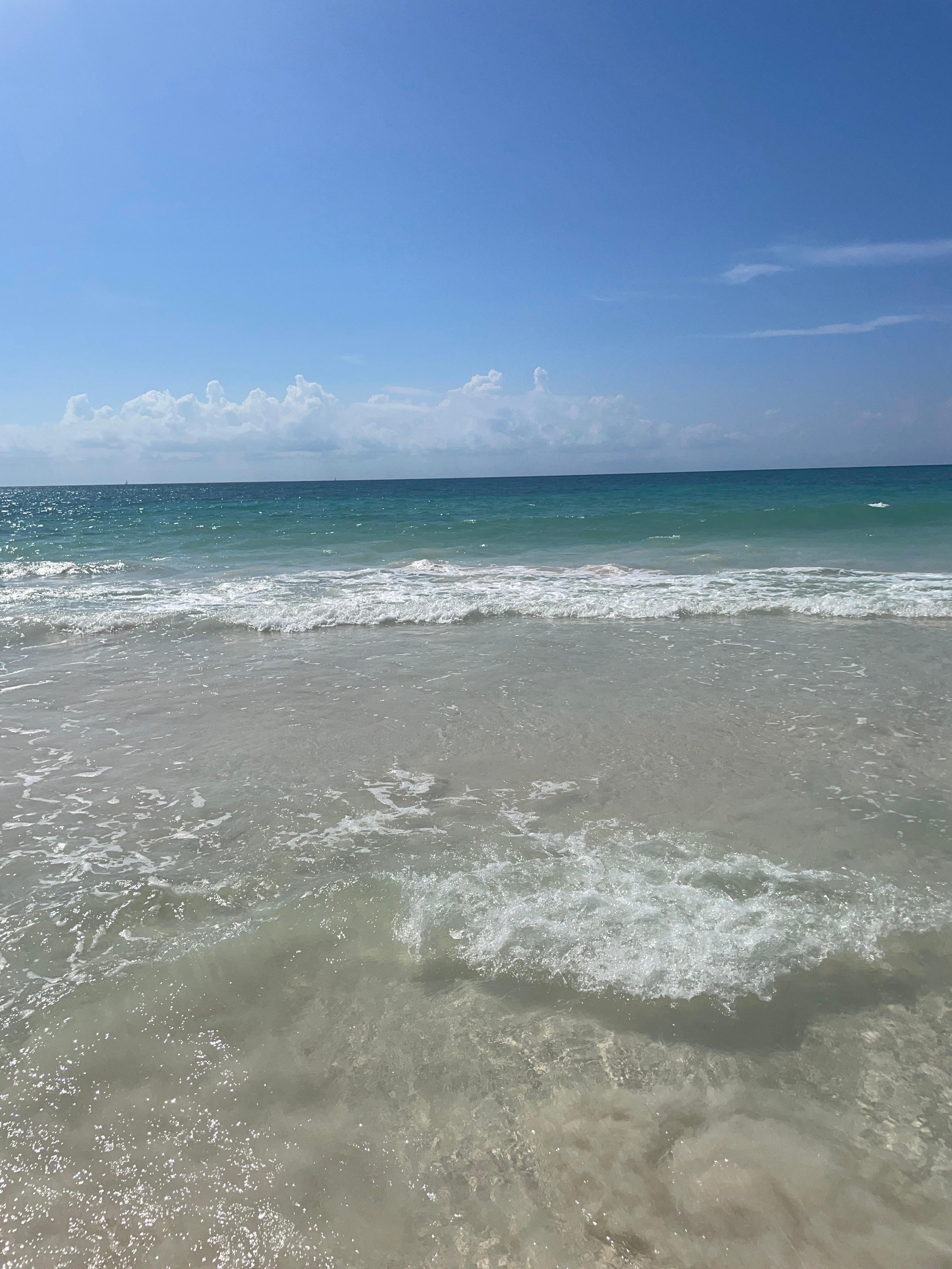 The beach 