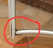 Shower door