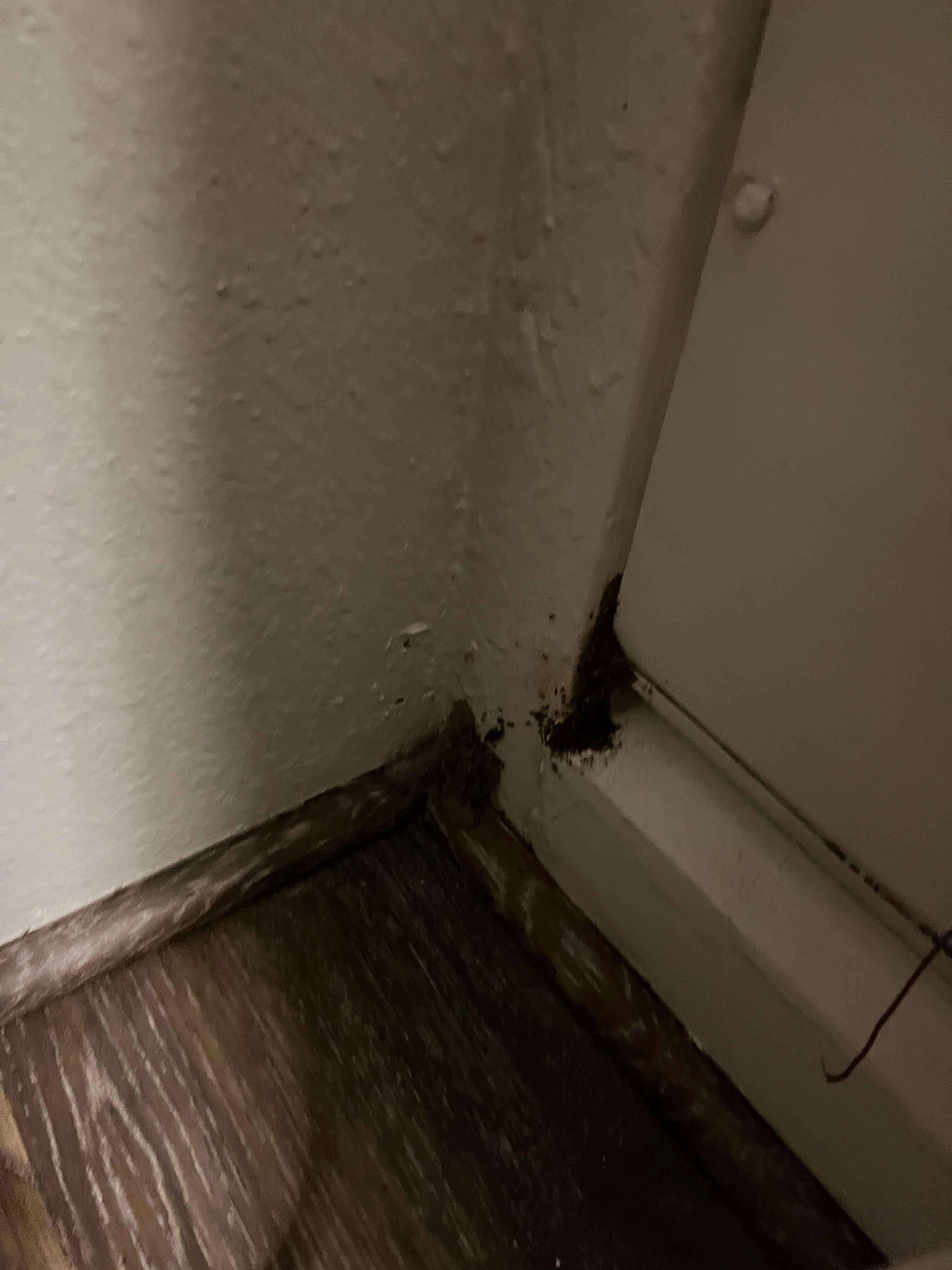 Next to the bed