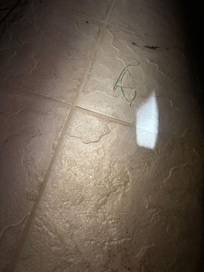 floss and dirt floor