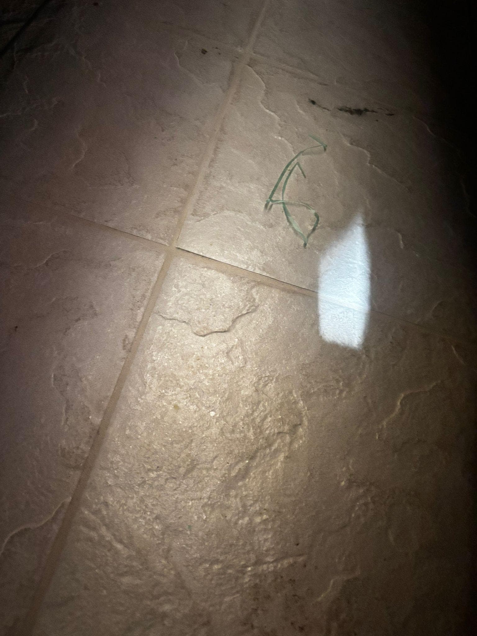 floss and dirt floor