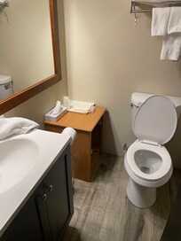 Bathroom mismatched cabinetry and lack of finishing