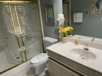 Appreciated the walk-in shower!
