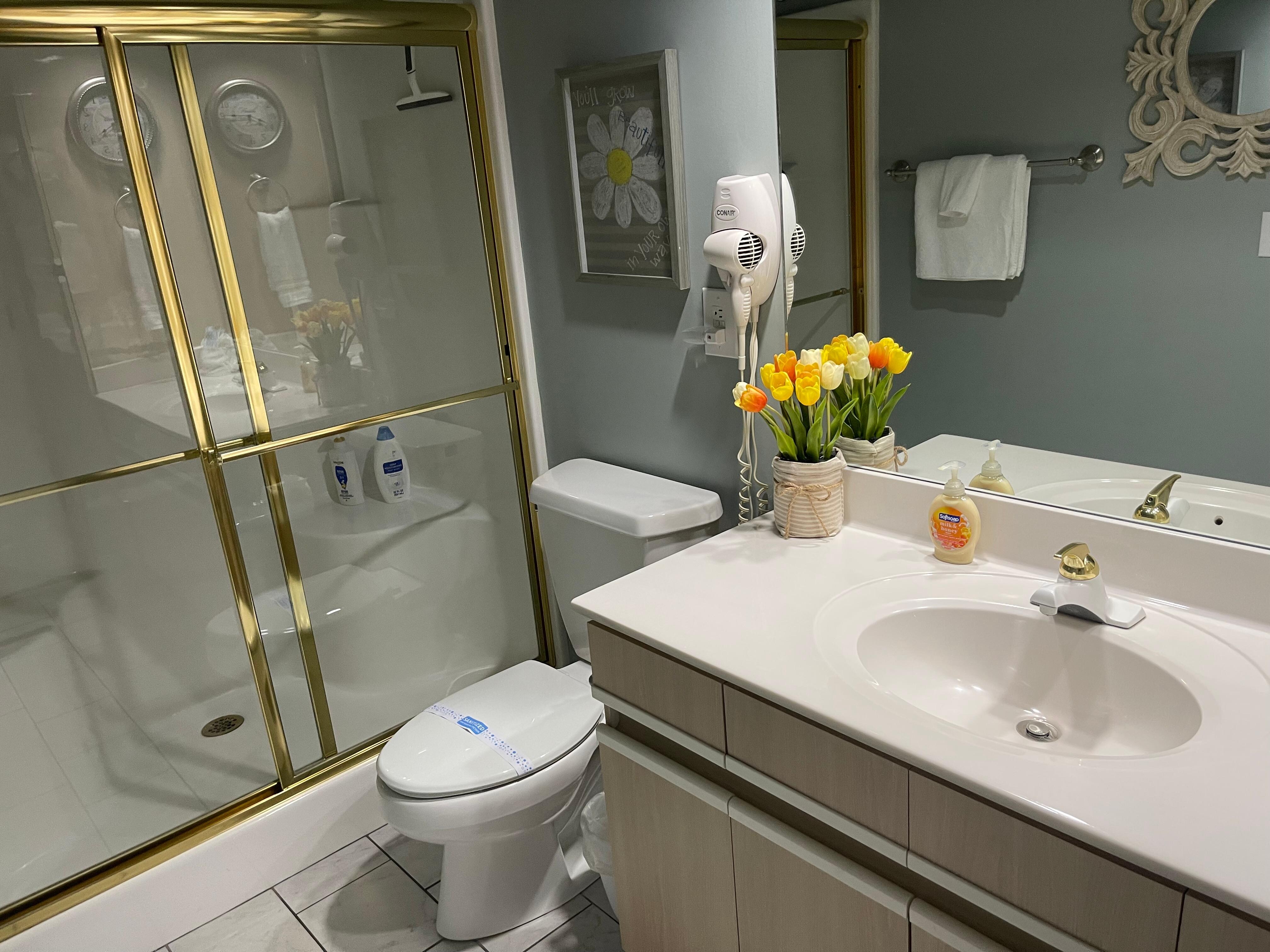 Appreciated the walk-in shower! 