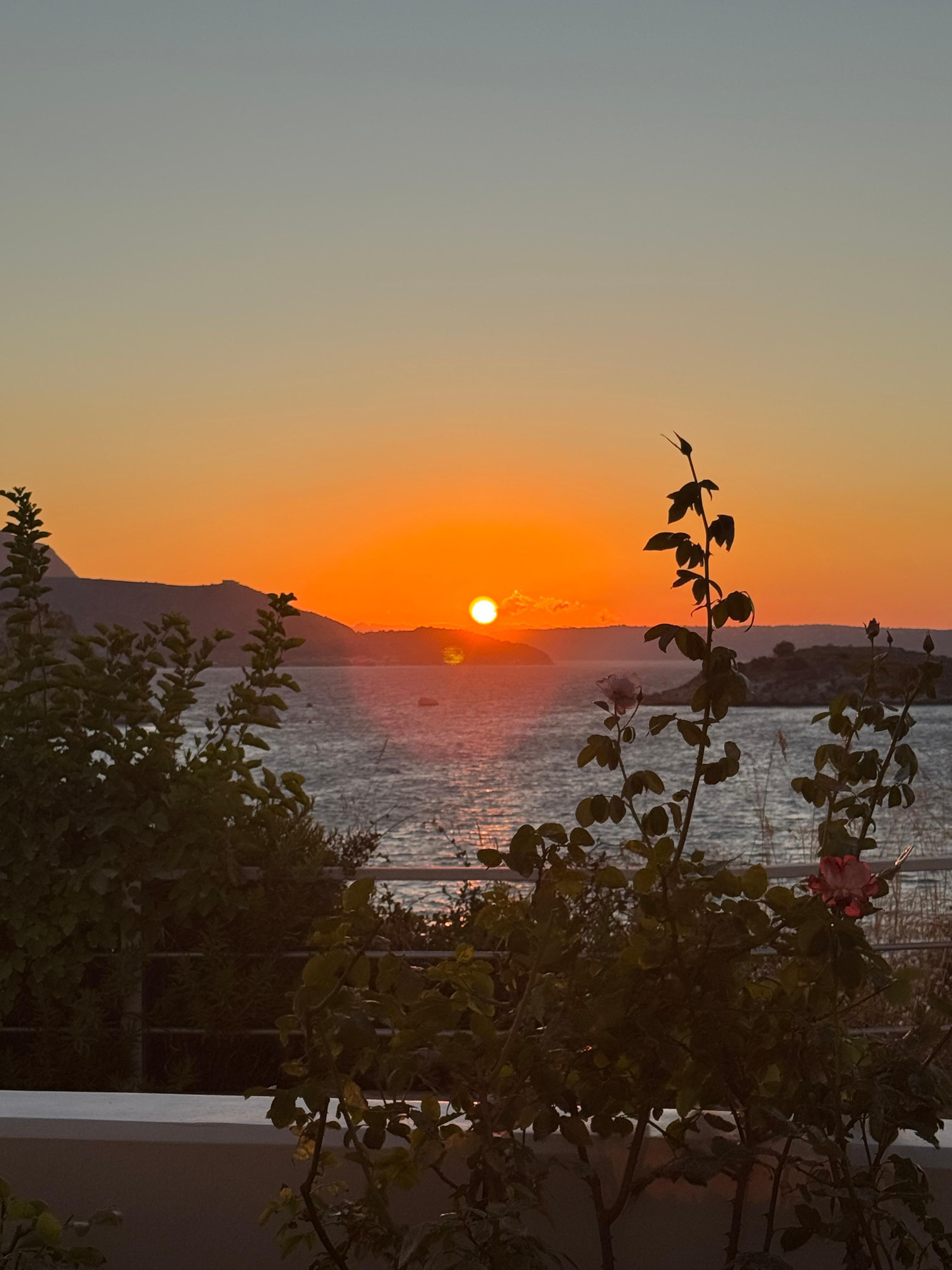 Utsikt från terrassen 
