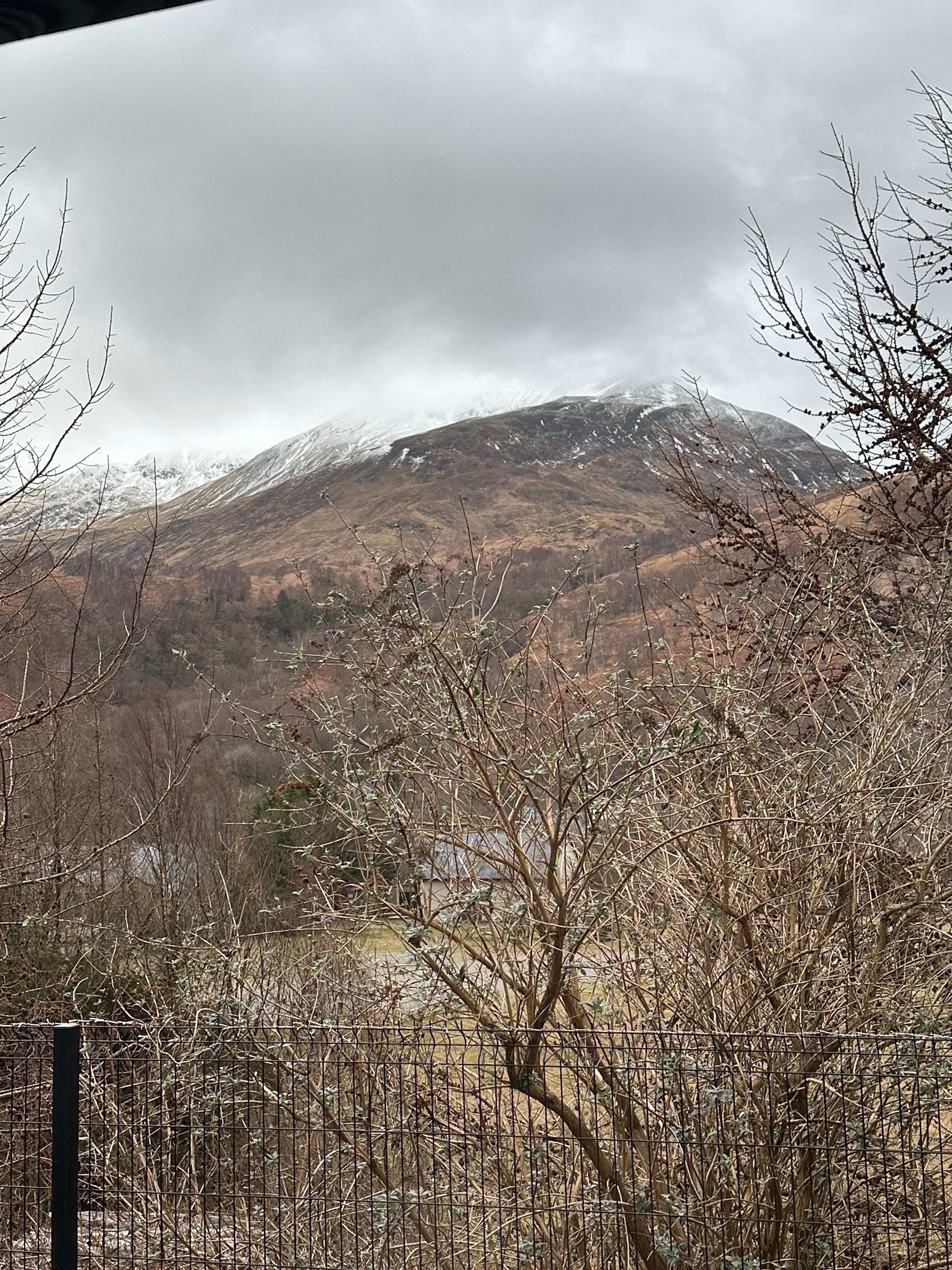 View from the patio doors.
