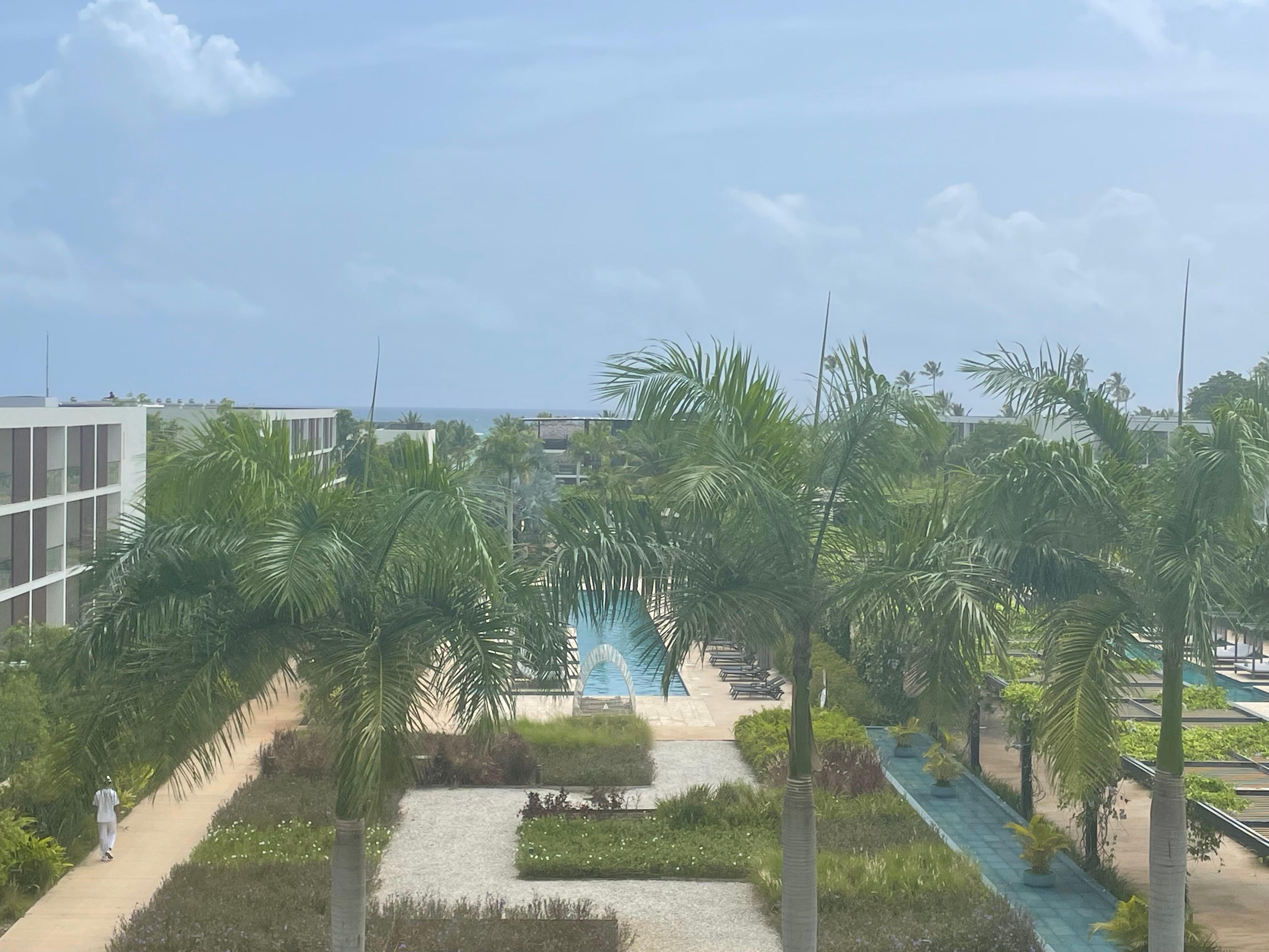 View from our Fuego Suite