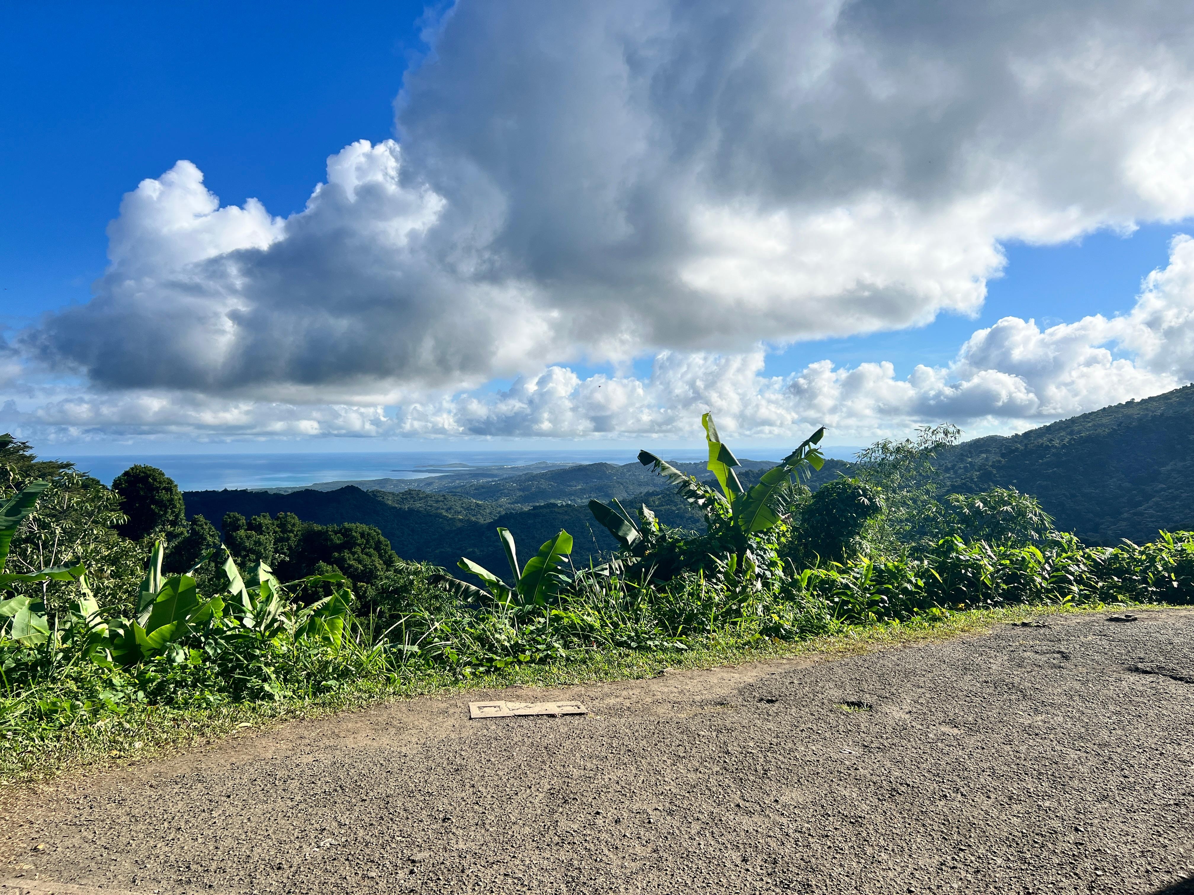 Visiting the rainforest only a 15min drive away!