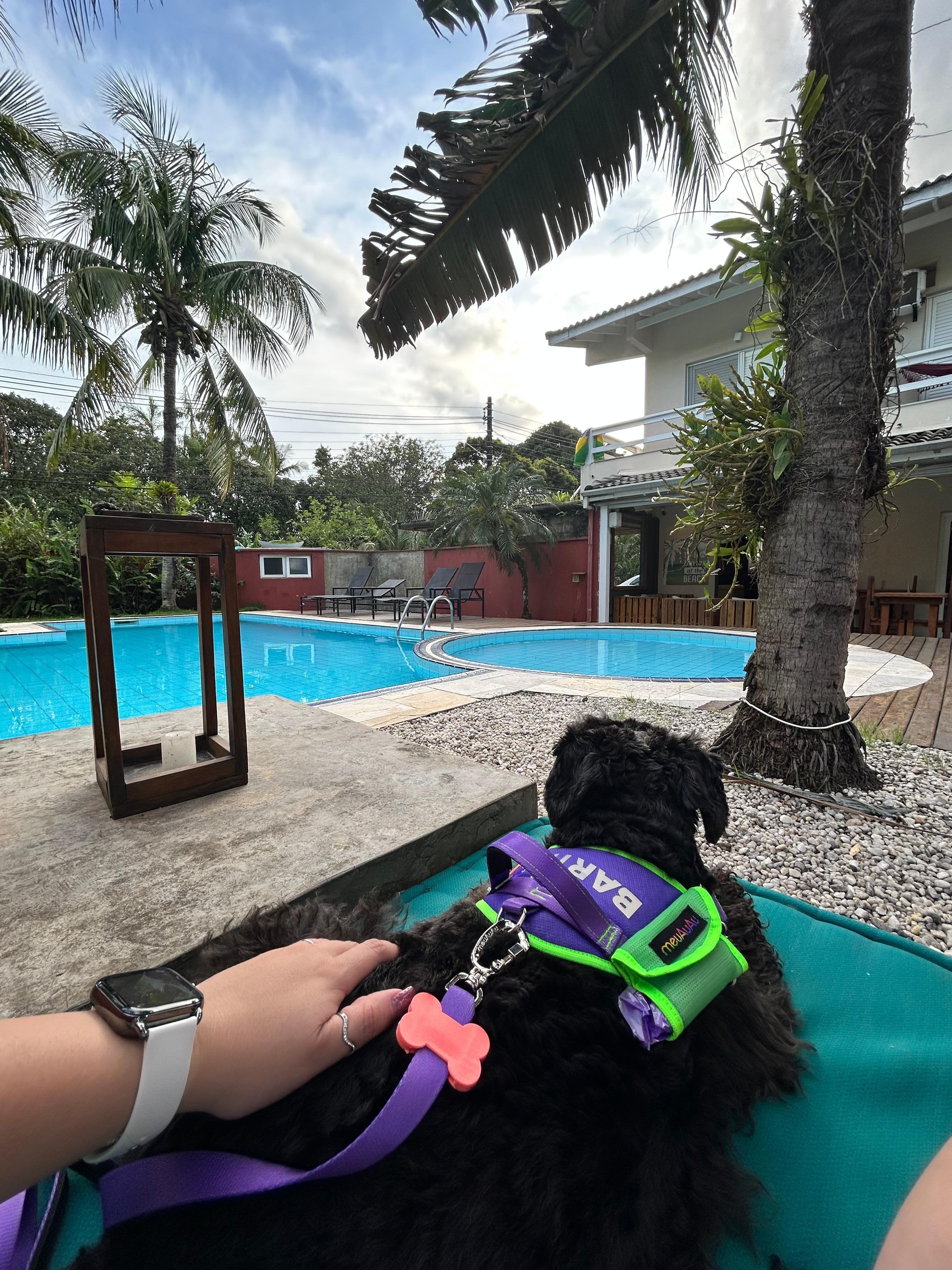 Áreas confortáveis para ficarmos com nossos pets 