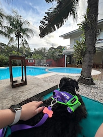 Áreas confortáveis para ficarmos com nossos pets