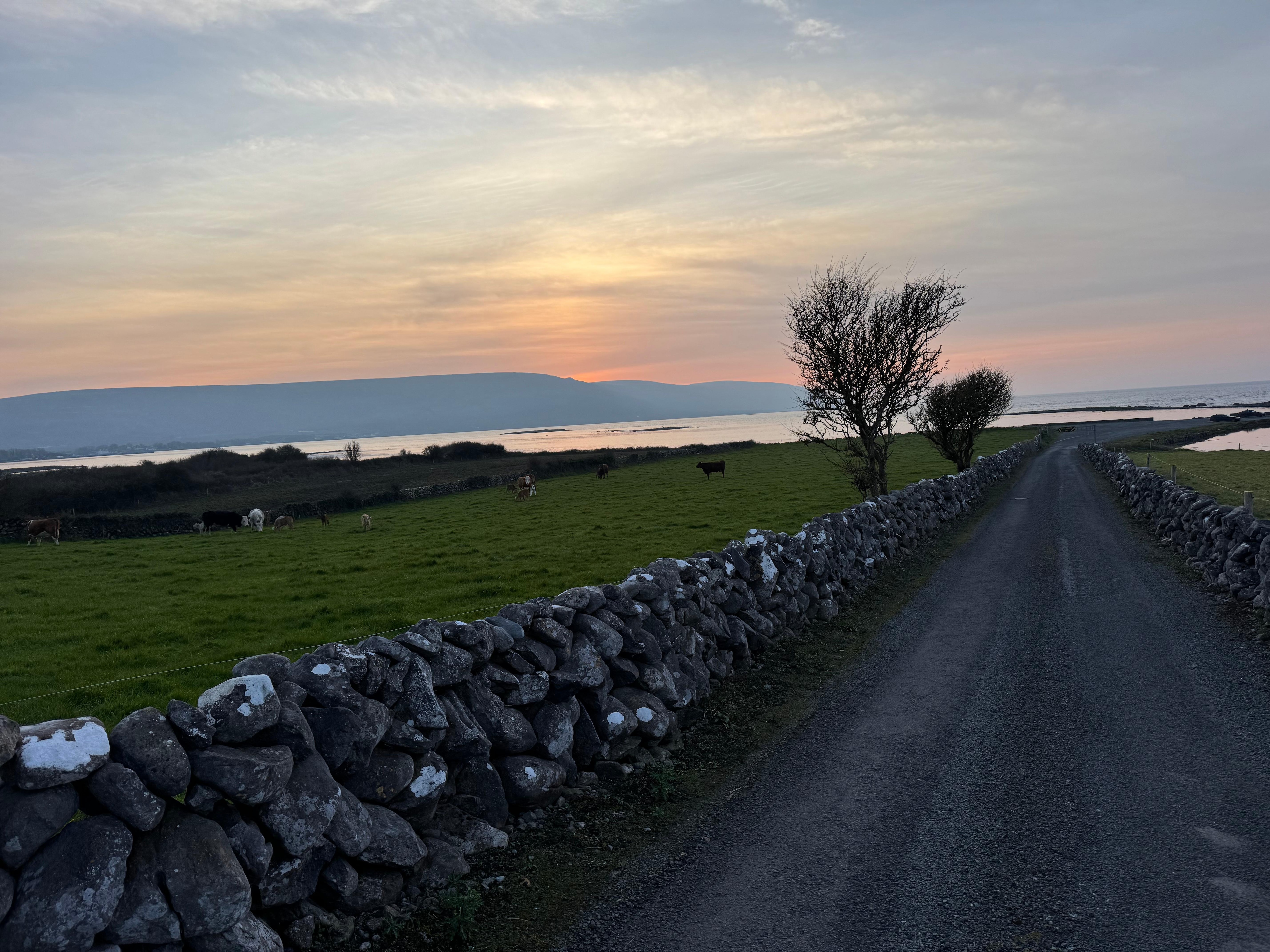 View of the lane down to the beach.