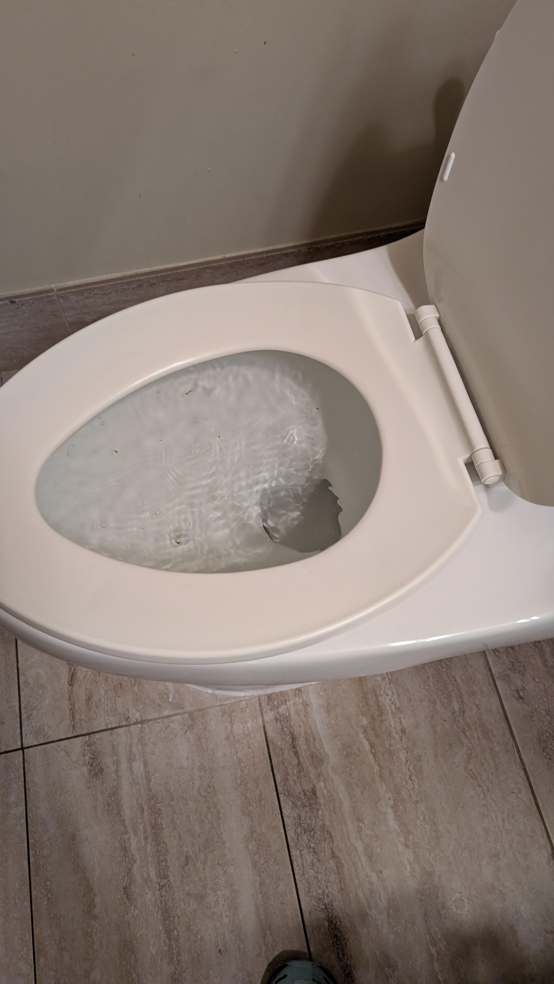 Toilet would not flush.