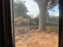 Window view