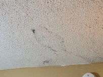 Something weird on the ceiling. Couldn’t tell what it was.