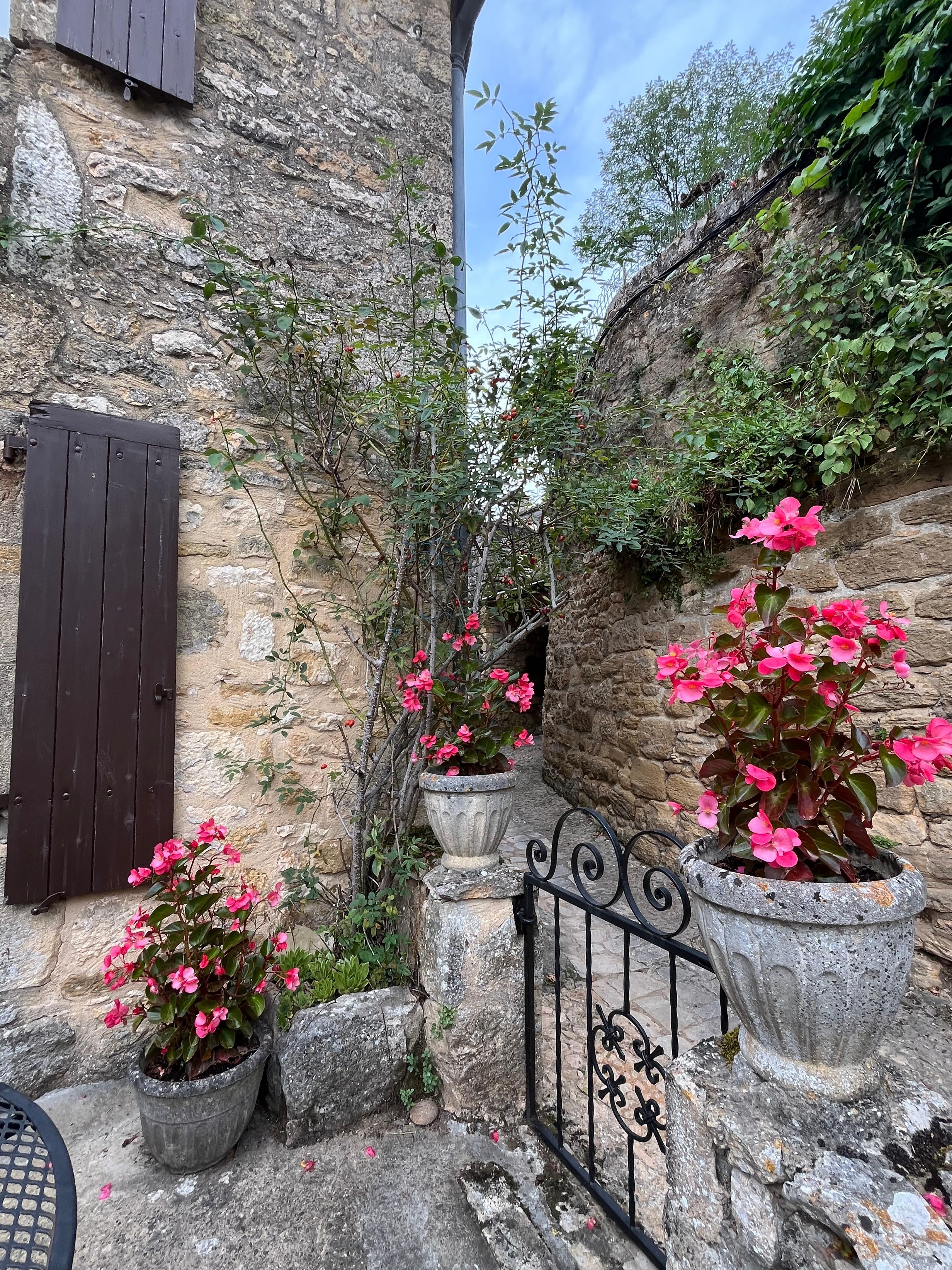 Beautiful flowers on our patio!