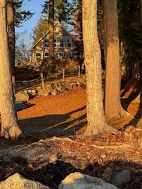 Looking up from the shore