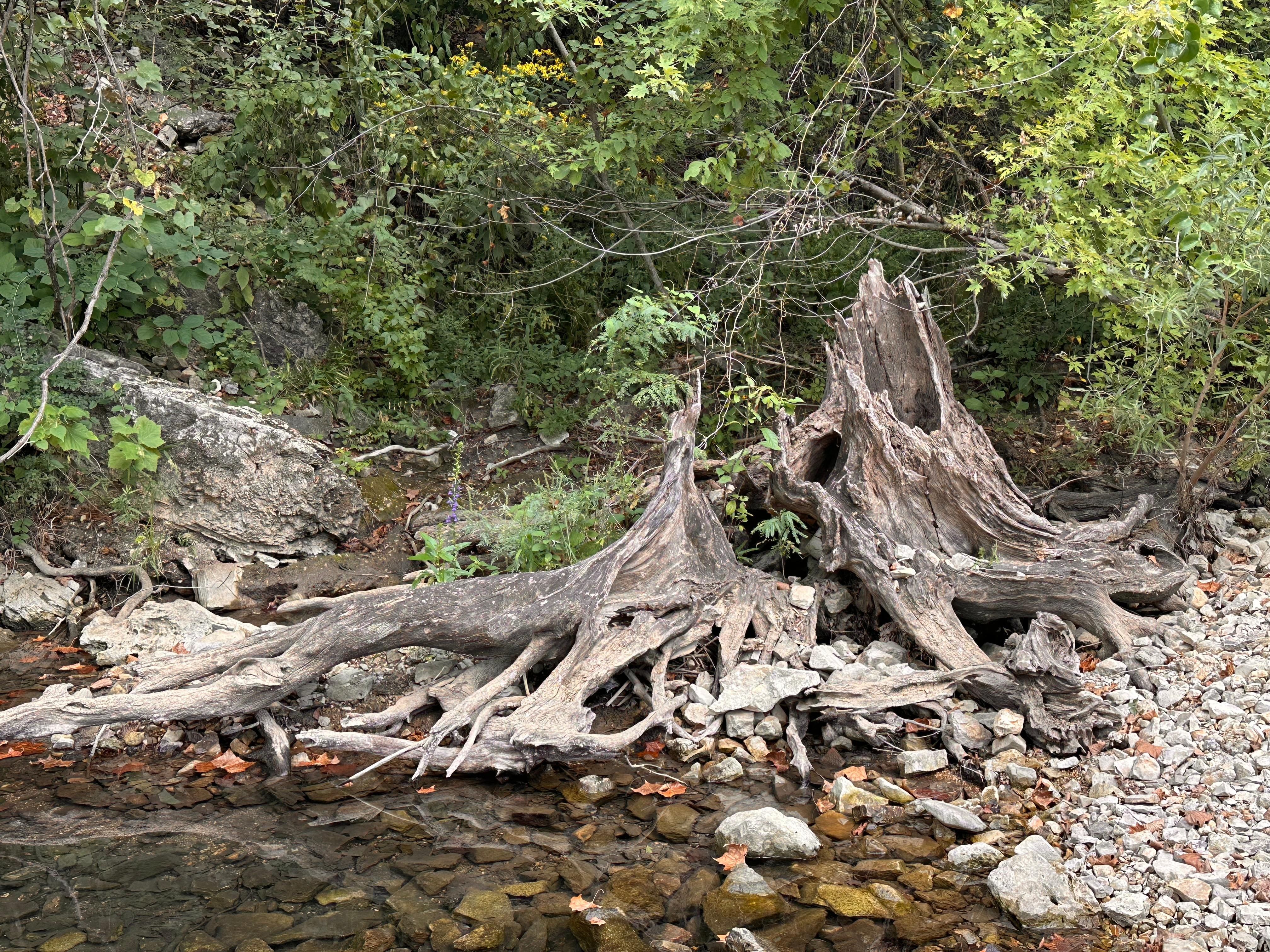 Stream at outdoor area