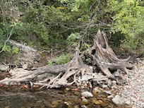 Stream at outdoor area