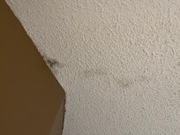 Questionable Mold in Master Bedroom