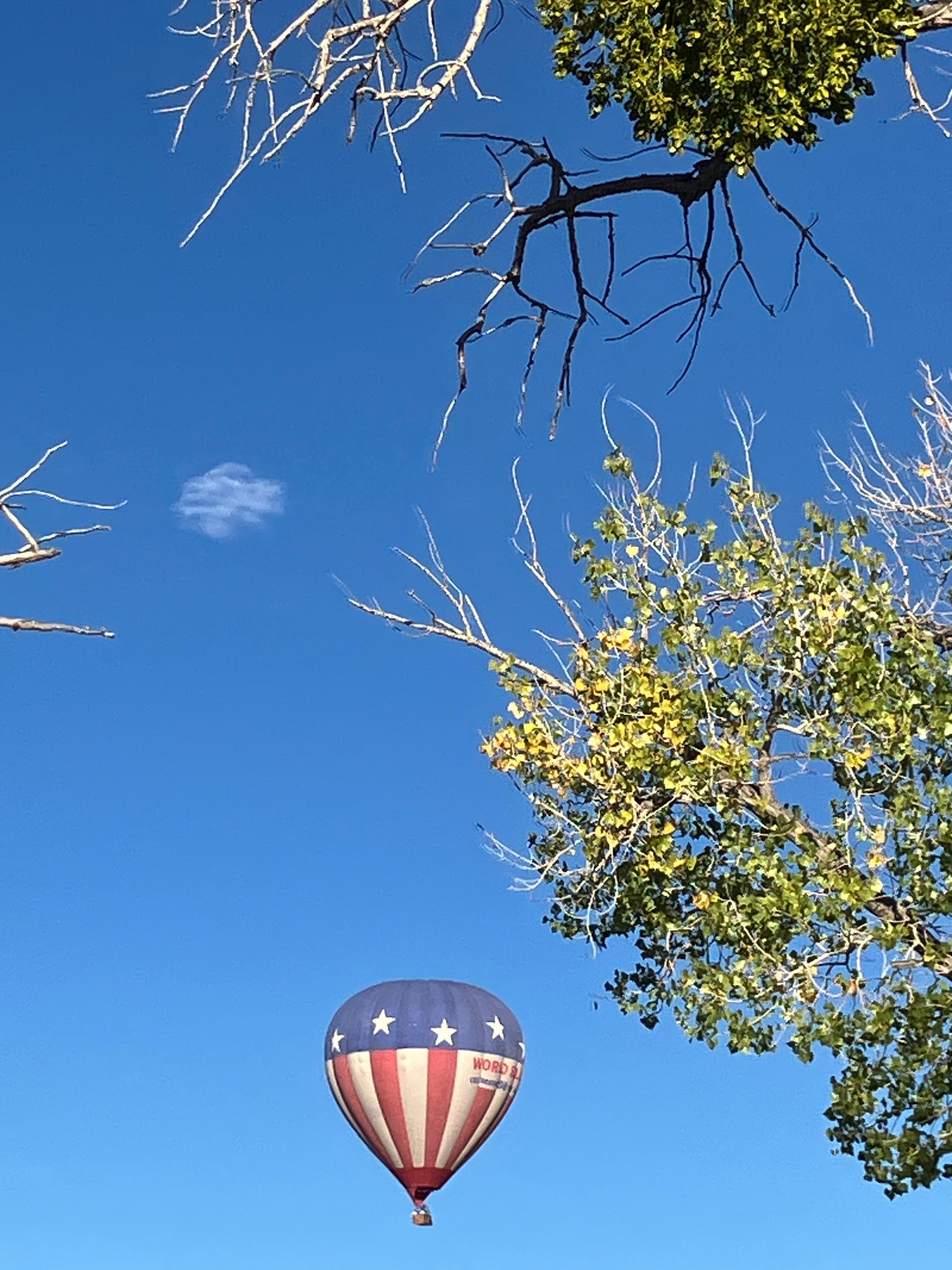 Hot Air Balloon over the house