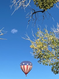 Hot Air Balloon over the house