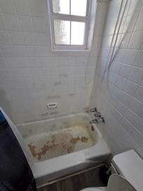 The bath tub was beyond disgusting