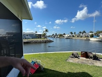 Dolphins swimming in the canal!