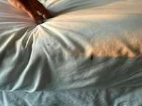 Blood stains
