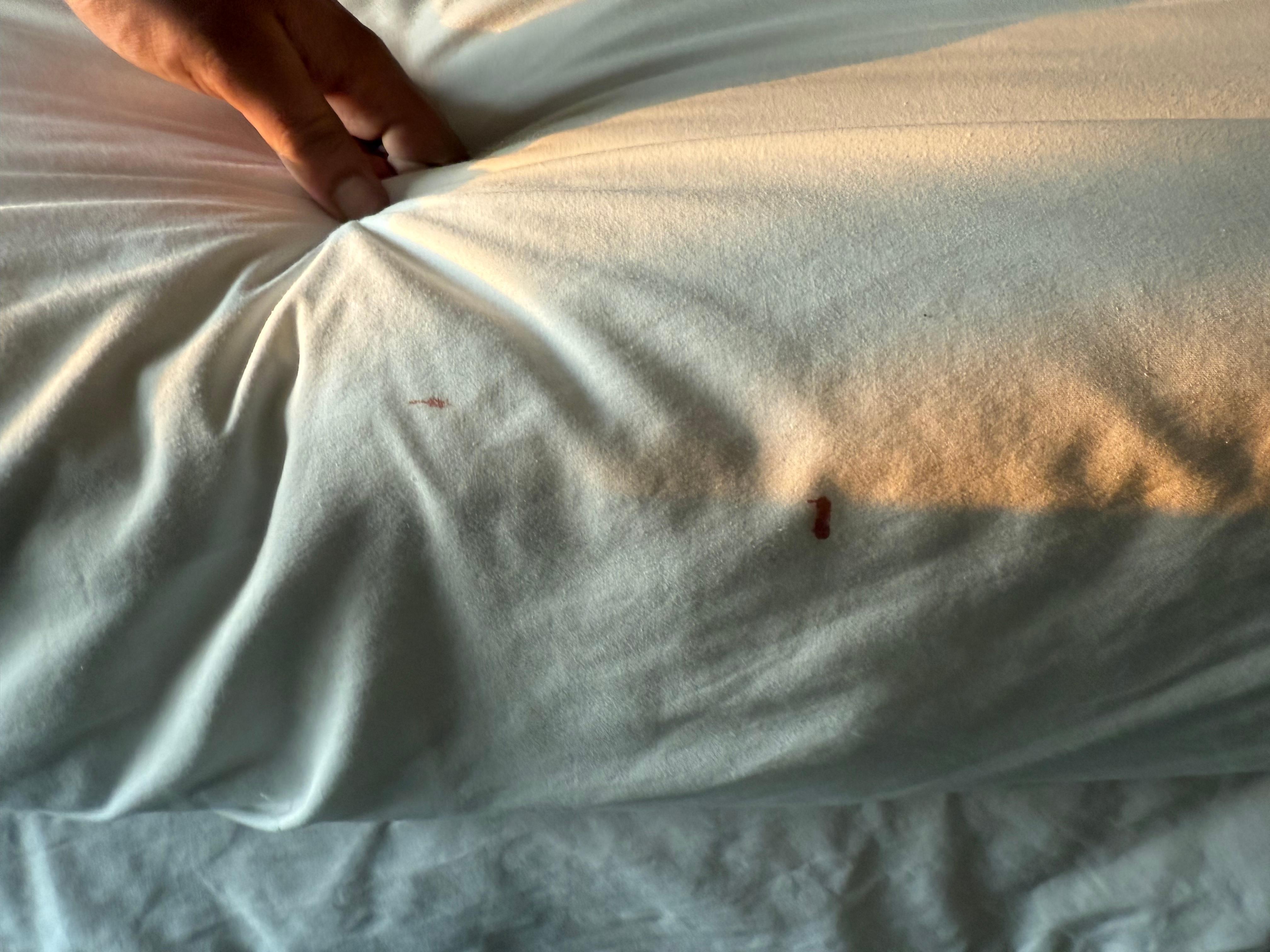 Blood stains