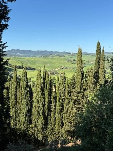 Spectacular Views