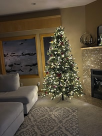 Family room downstairs