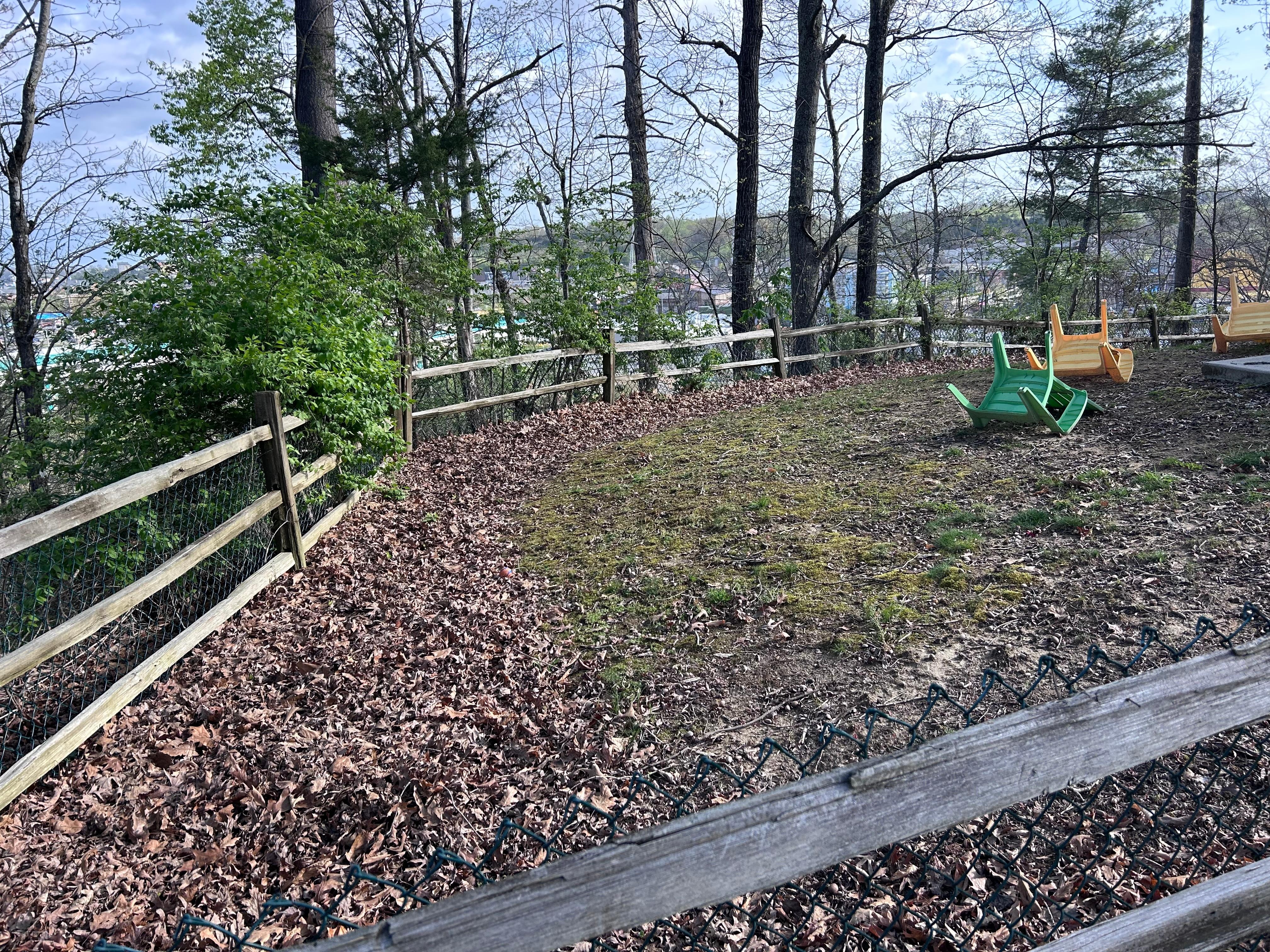 The fenced in side yard