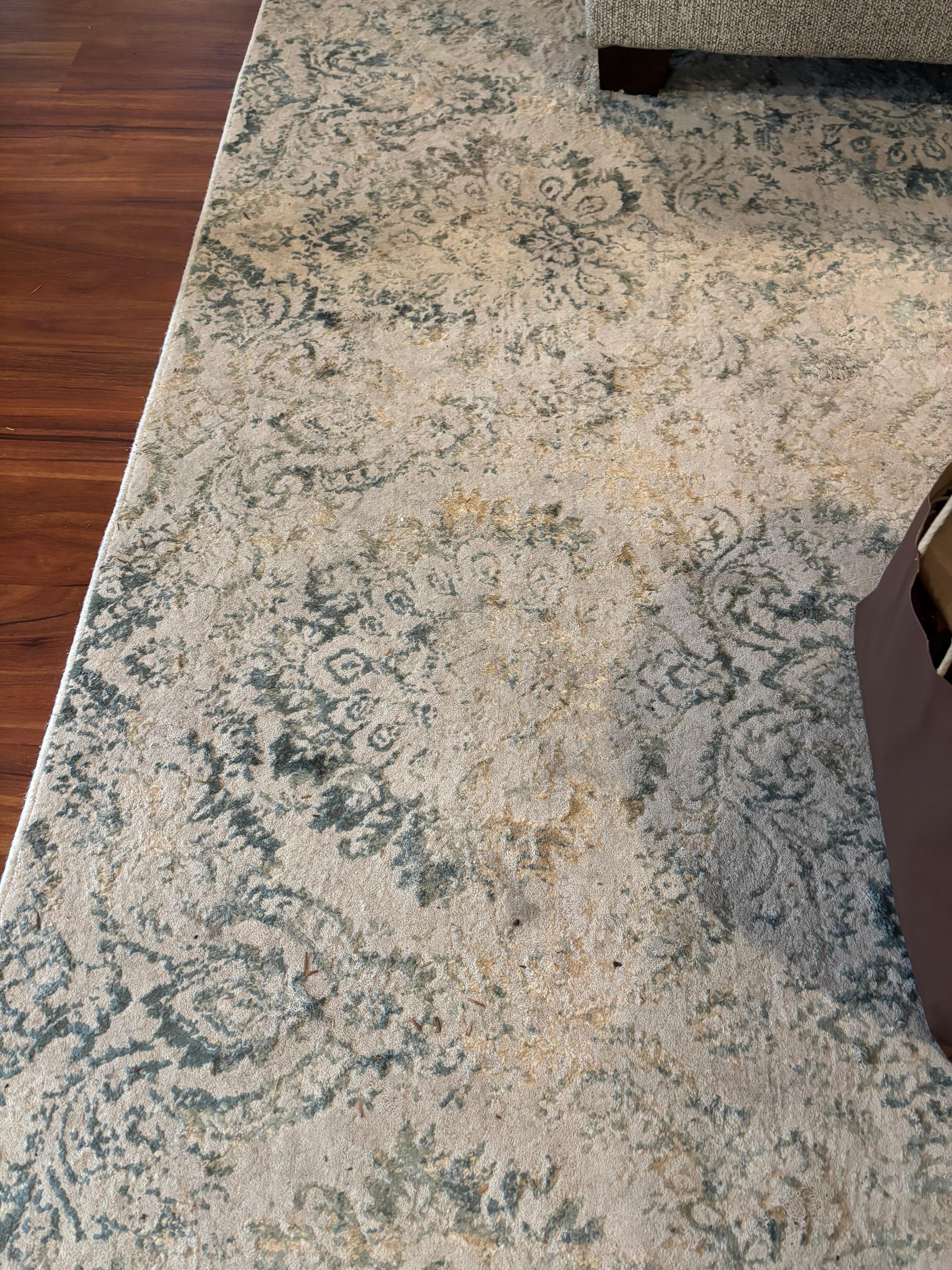 Carpet very dirty like it was peed on