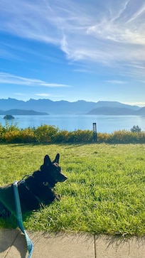 A great place to stay with your furry friend!