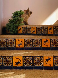 Stairs to second floor apartment.