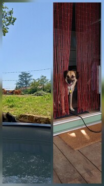 Surveillance de Spa