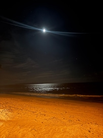 Moonlight from a beach short drive from house