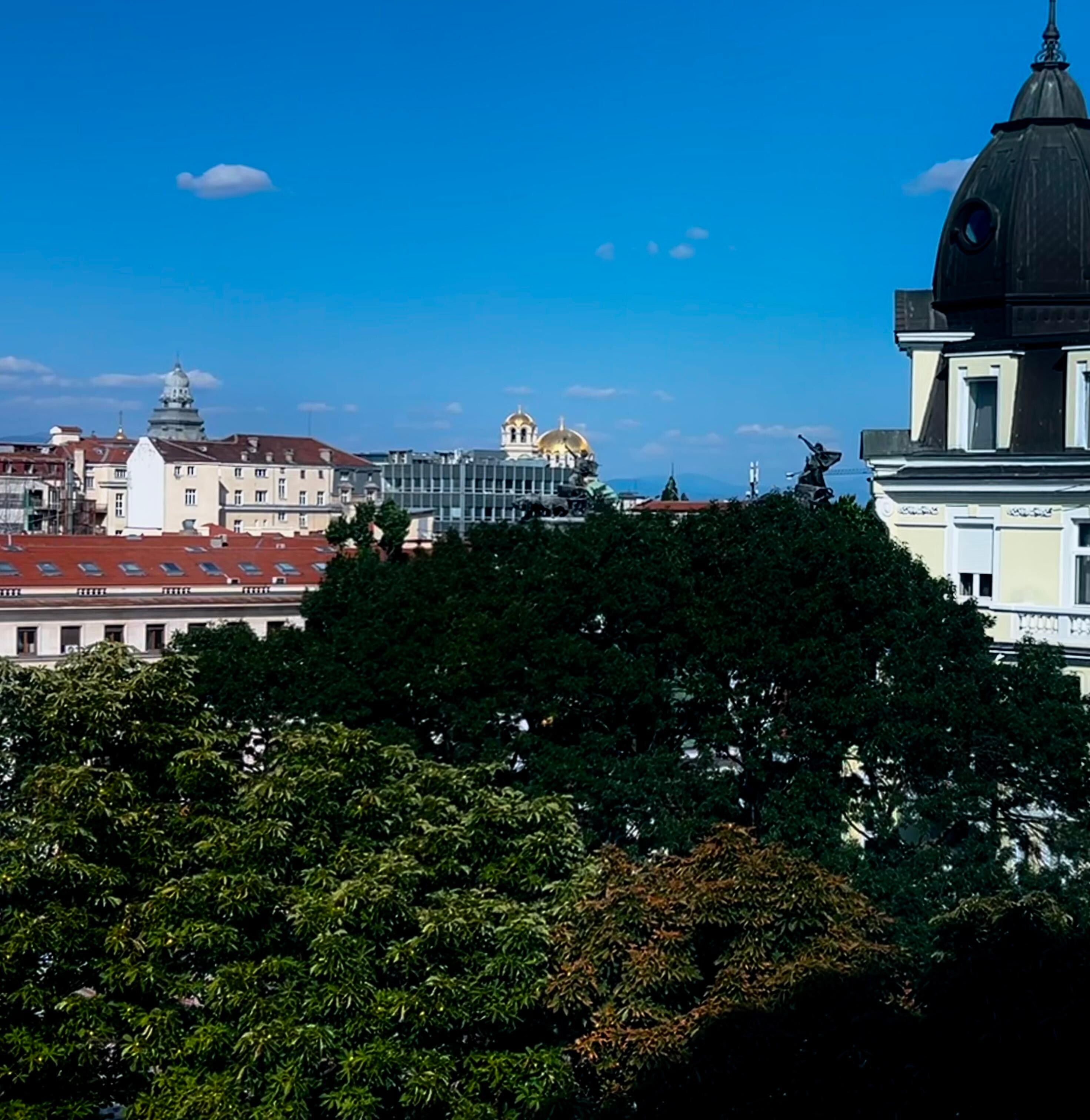 Alexander Nevsky Cathedral view from the room